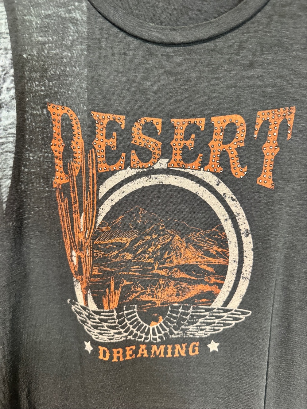 Like New Women’s Small Express Gray Tank Top with Orange Desert Graphic